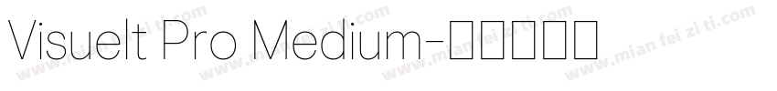 Visuelt Pro Medium字体转换